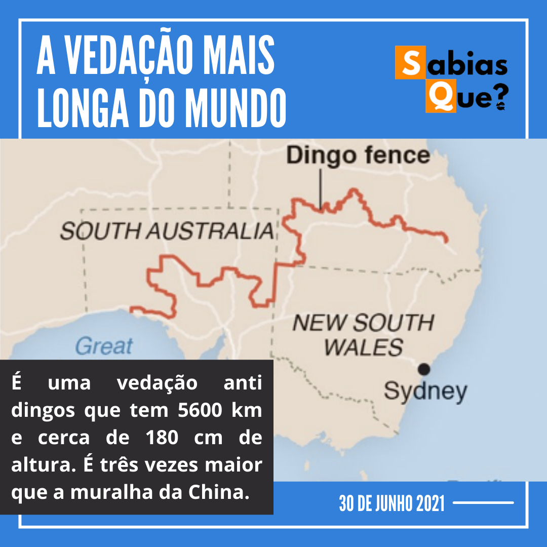 A VEDAÇÃO MAIS LONGA DO MUNDO title-2