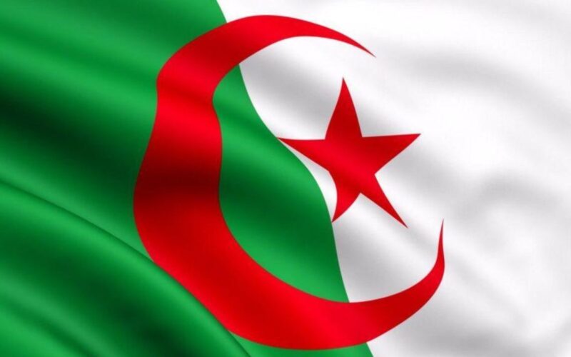 الان تجديد منحة البطالة 2025 في الجزائر بخطوات سهلة وشروط واضحة للمستفيدين